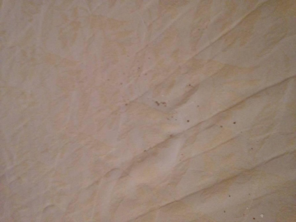 Bett Regency Plaza Aqua Park & Spa