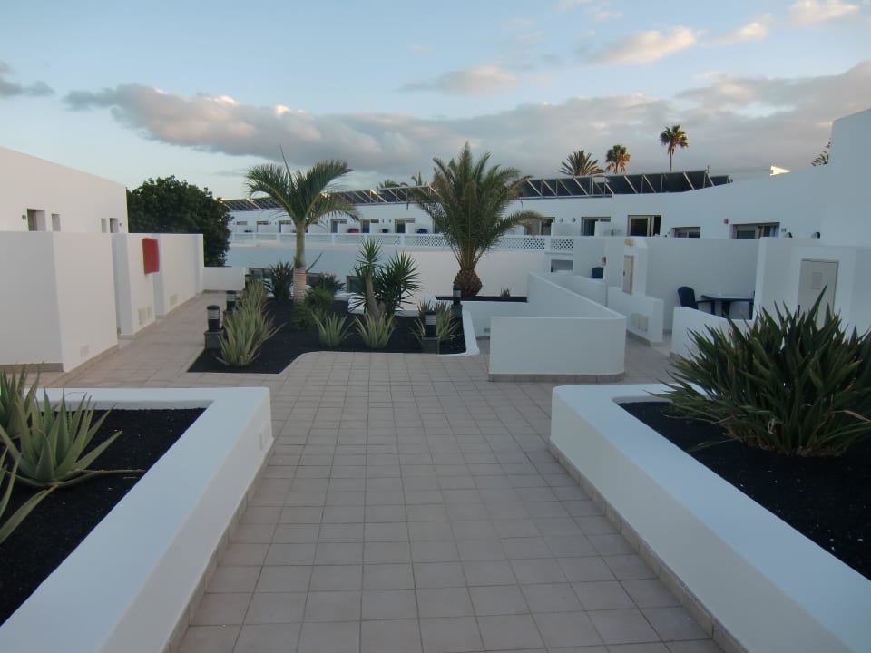 Palmen und Kakteen auf dem Weg zur Rezeption Hotel Las Costas