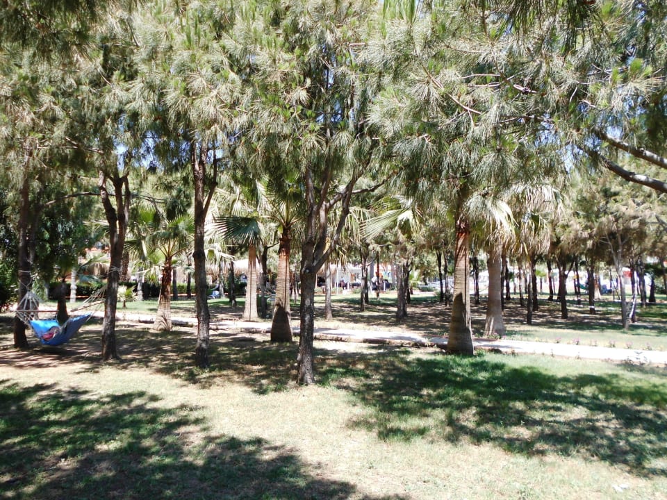 Garten mit Schaukeln Club Turtas Beach Hotel