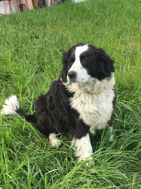 Sonstiges Ferienhof Schmid