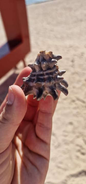 Strand Three Corners Equinox Beach Resort