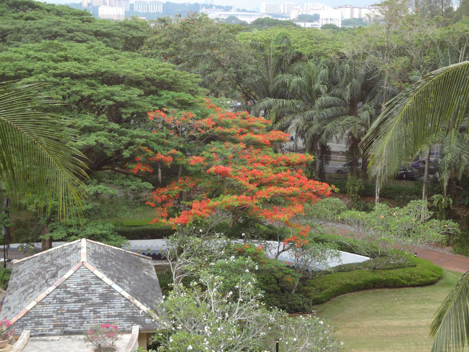 From the room Hotel Palace of the Golden Horses