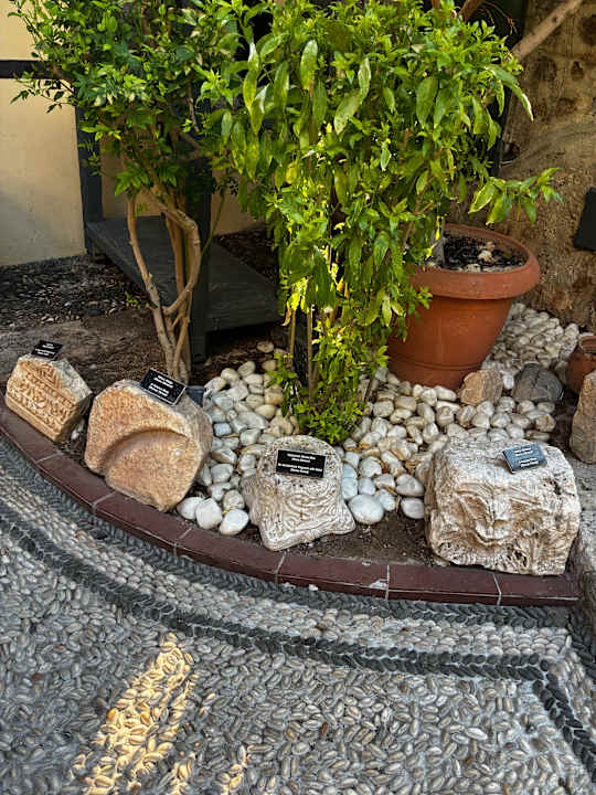 Gartenanlage Alp Pasa Hotel - Special Class