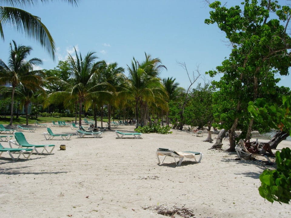 Hotelstrand Hotel Riu Negril