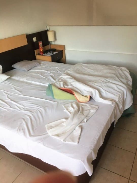 Zimmer Aristoteles Holiday Resort & Spa