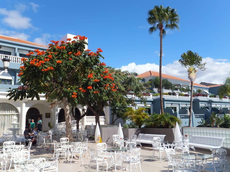 Frühstücksterrasse Adrián Hoteles Colón Guanahaní - Adults only