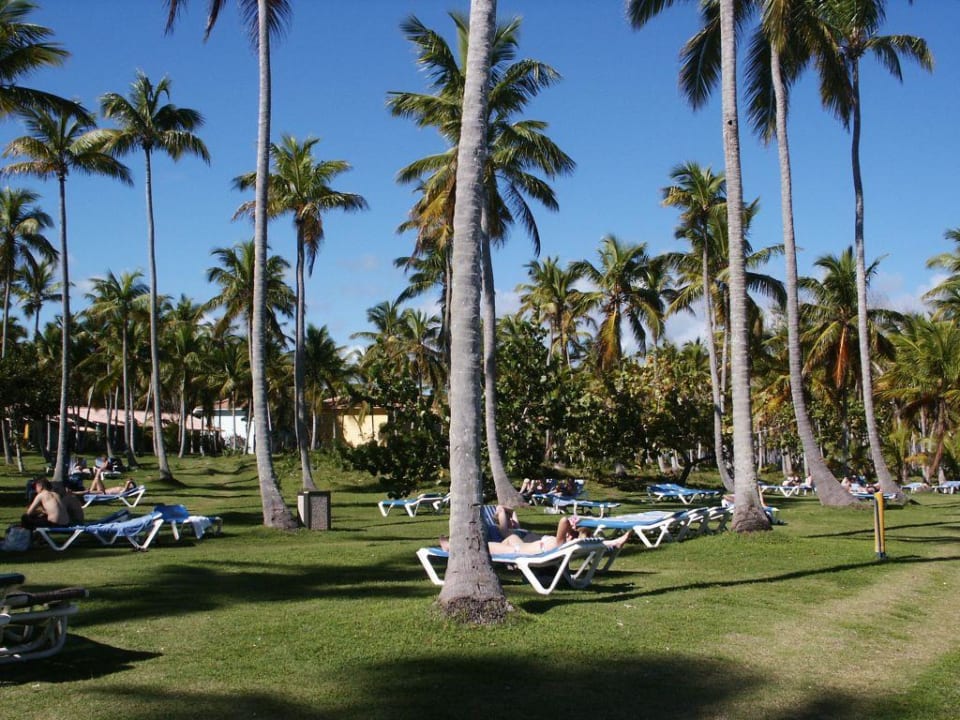 Liegewiese Wyndham Alltra Samana