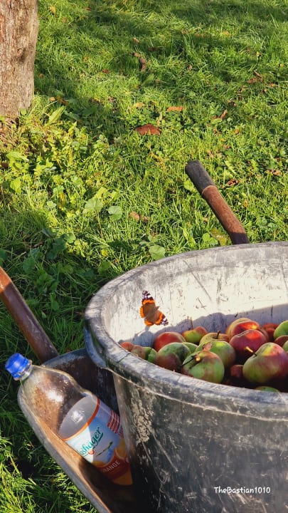 Gartenanlage Hotel Norddeutscher Hof