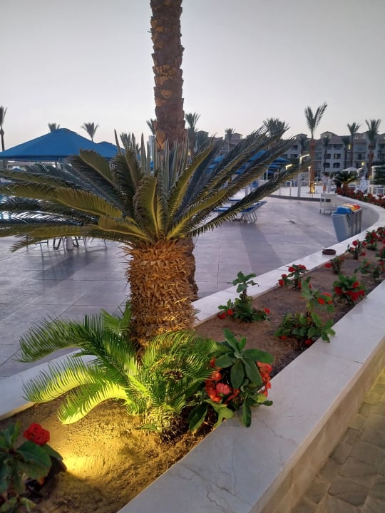 Gartenanlage Pickalbatros Dana Beach Resort - Hurghada