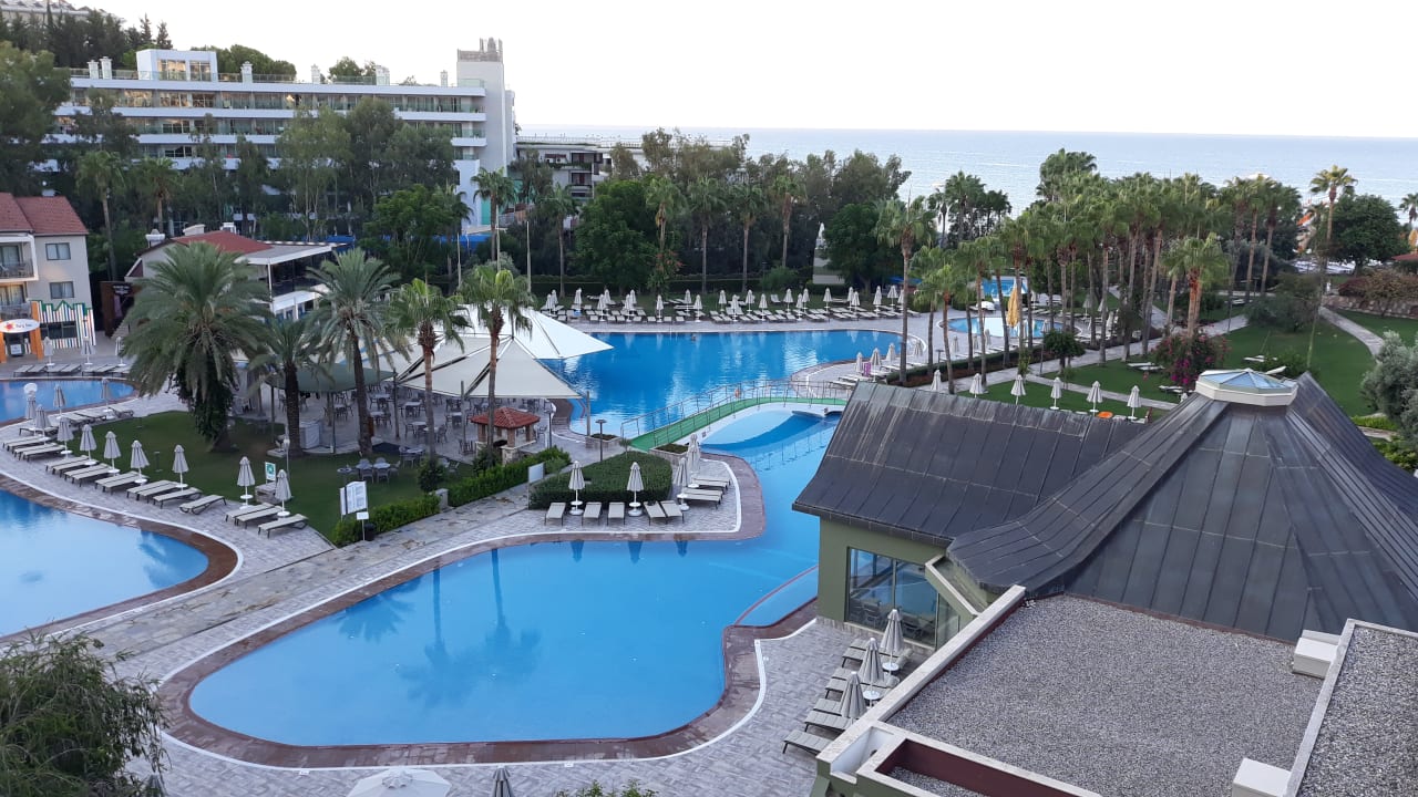 Zimmer Arum Barut Collection