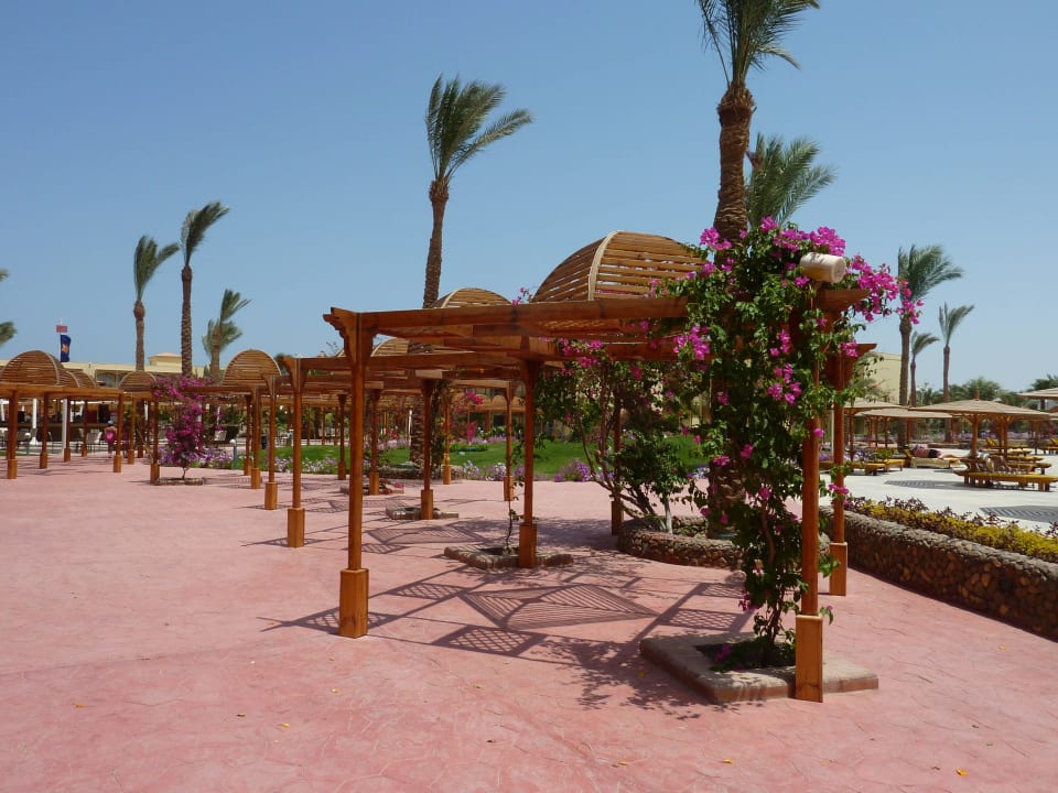 Hotelanlage 4 Desert Rose