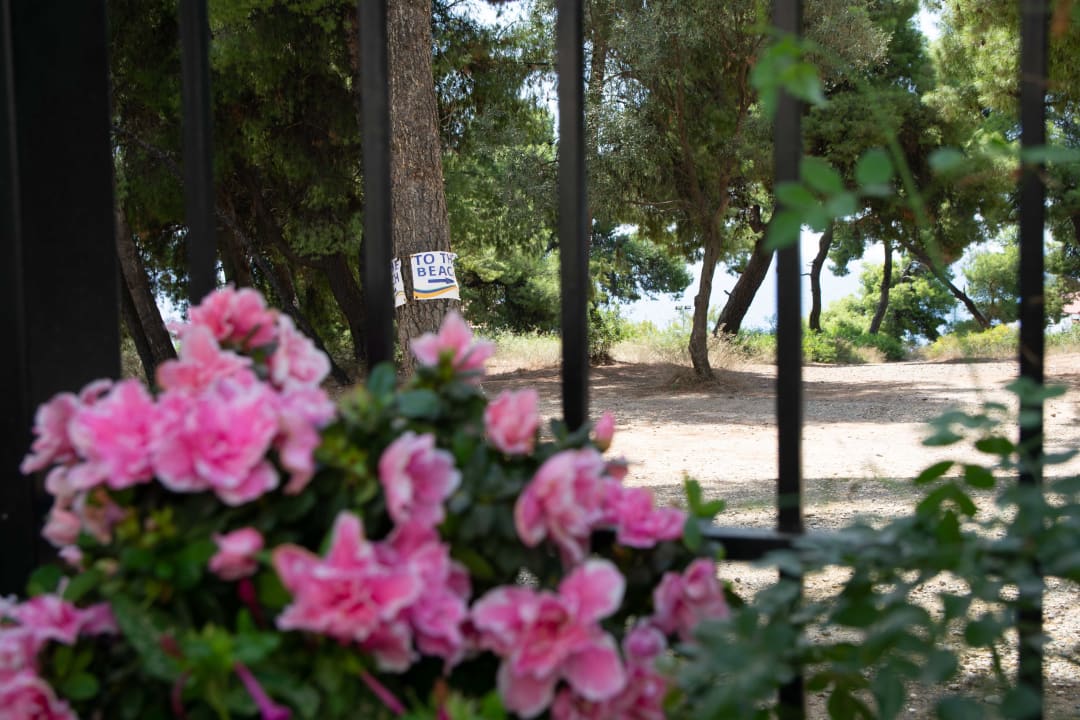 Gartenanlage Hotel Melissa Gold Coast