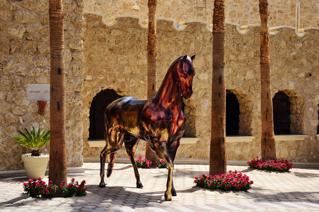 Sonstiges Pickalbatros Citadel Resort