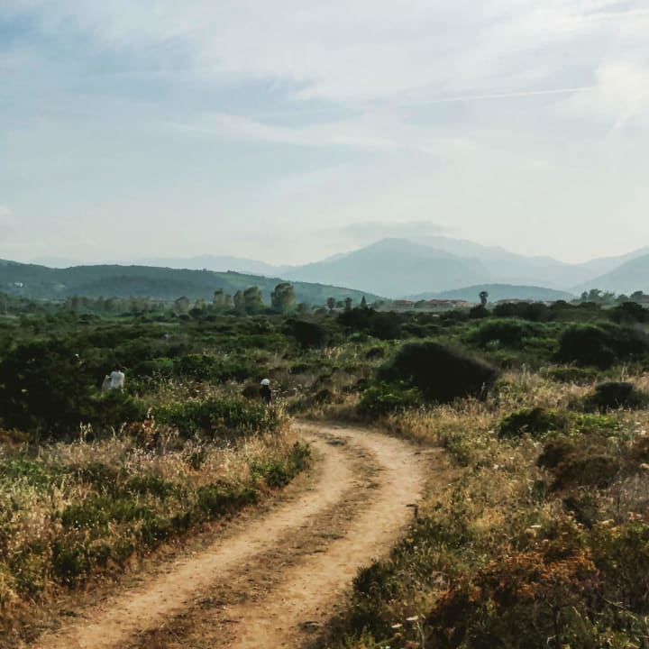 Ausblick TH San Teodoro - Liscia Eldi