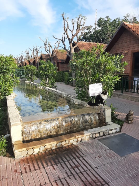 Gartenanlage Can Garden Beach