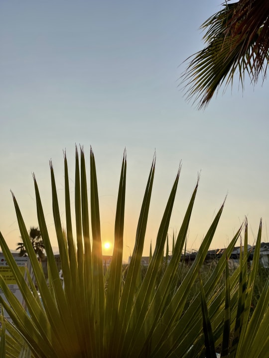 Gartenanlage Jiva Beach Resort