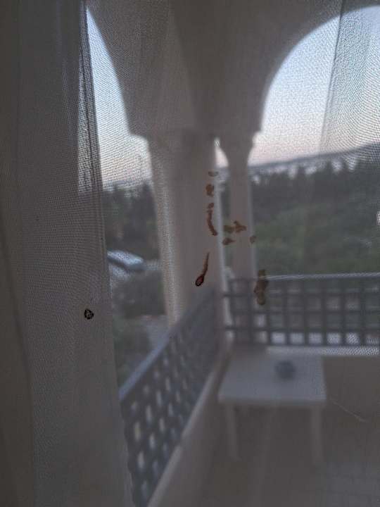 Zimmer Nahrawess Resort & Thalasso