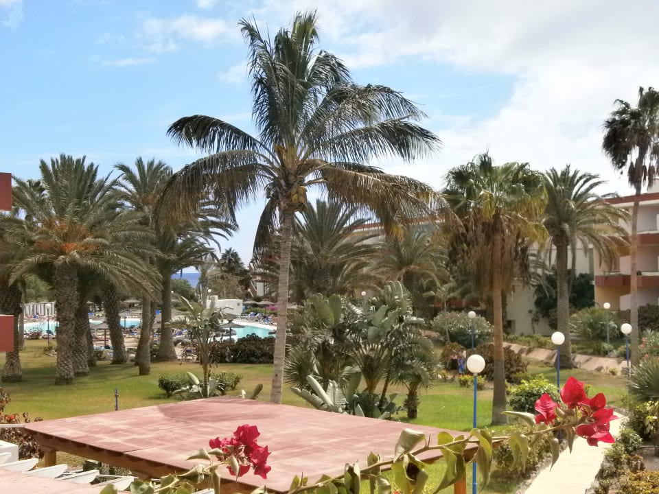 Gartenanlage SBH Fuerteventura Playa