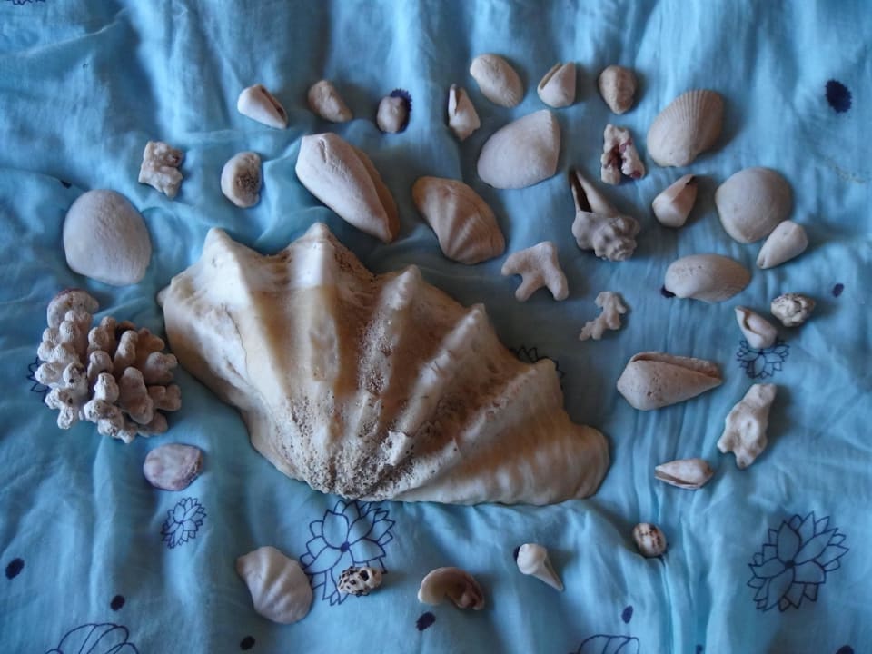 Trofea Three Corners Sea Beach Resort