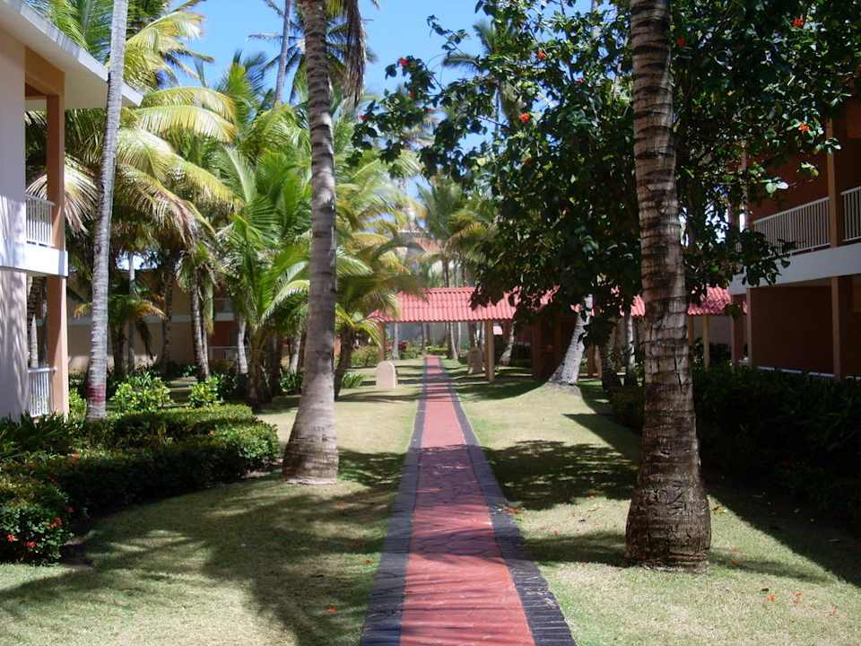 Gartenanlage Hotel Grand Palladium Palace Resort, Spa & Casino