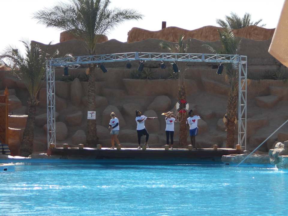 Hauptpool Pickalbatros Alf Leila Wa Leila Resort - Neverland Hurghada