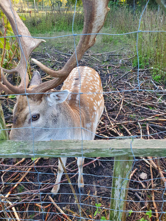 Sonstiges Hotel Zum dicken Heinrich