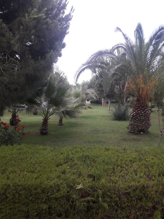 Gartenanlage Ali Bey Club