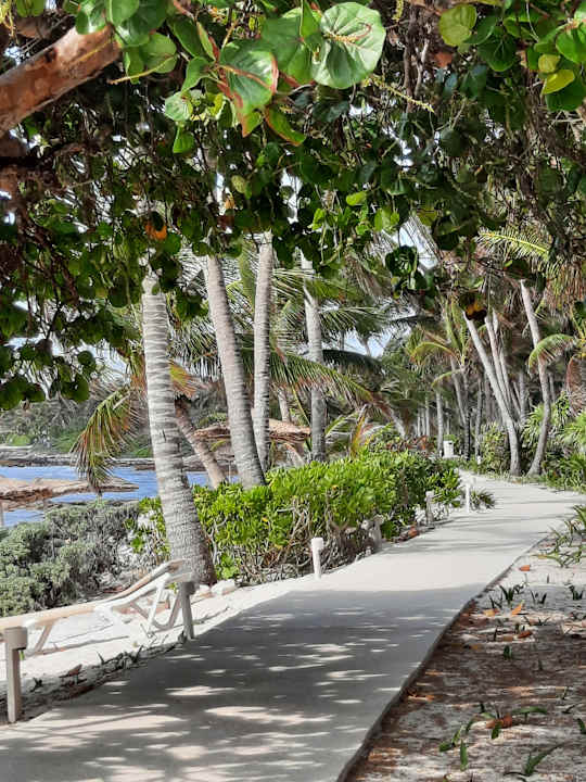 Gartenanlage Akumal Bay Beach & Wellness Resort