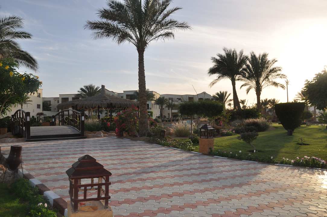 Ogród Regency Plaza Aqua Park & Spa