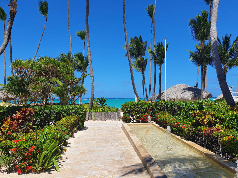 Gartenanlage Hotel Grand Palladium Palace Resort, Spa & Casino