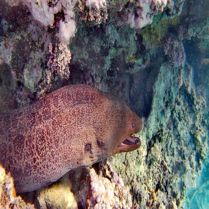 Sport & Freizeit Cleopatra Luxury Resort Makadi Bay