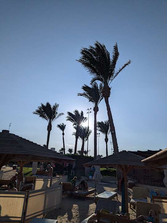 Gartenanlage Steigenberger Aqua Magic