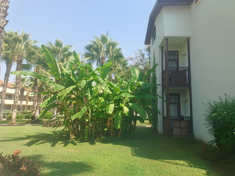 Gartenanlage Club Tuana Fethiye