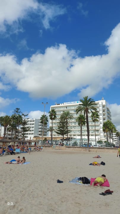 Außenansicht CM Playa del Moro