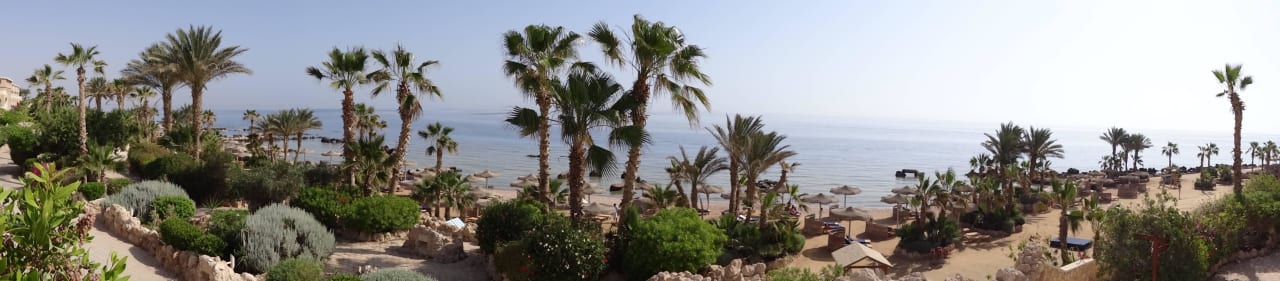 Einfach schön Pickalbatros Citadel Resort