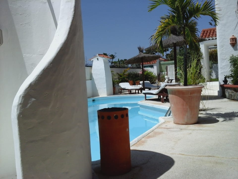 "Pool" Birdcage Gay Resort (Playa del Ingles) • HolidayCheck (Gran