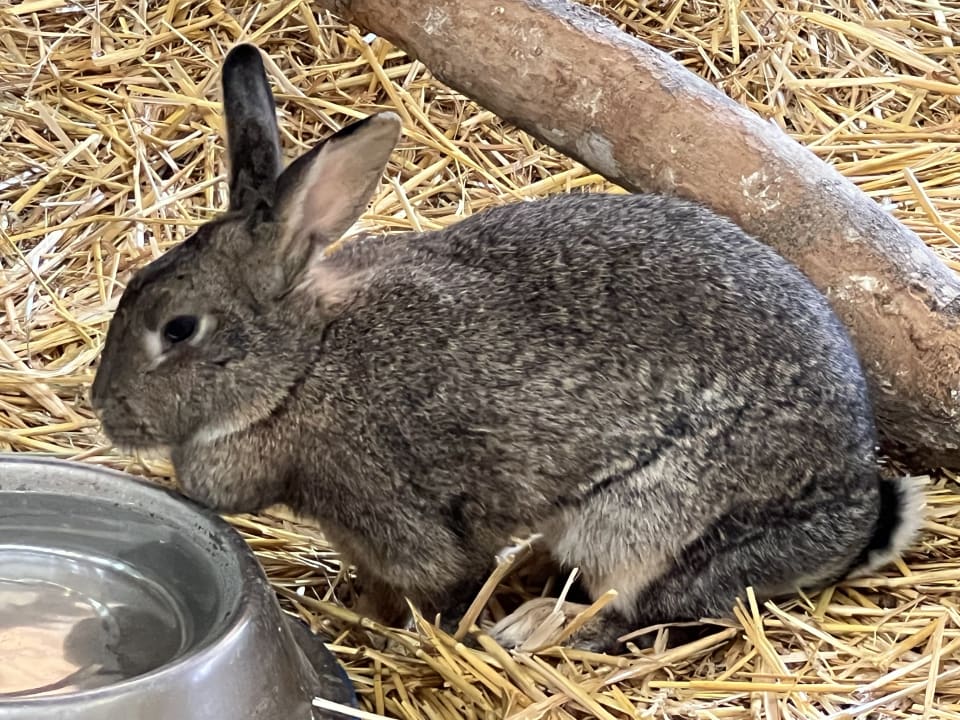 Sport & Freizeit Villages Nature Paris