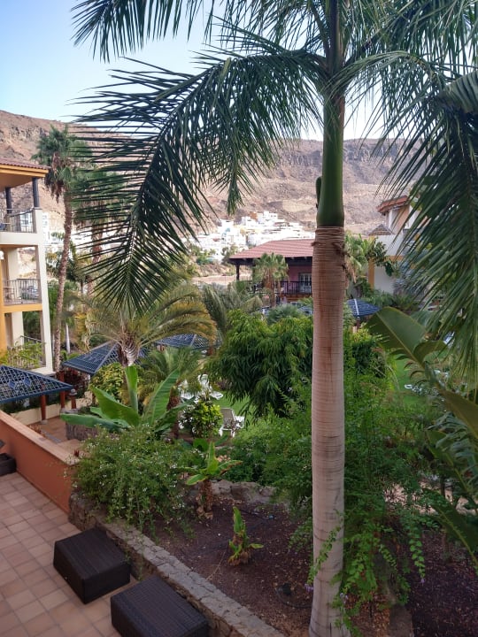 Gartenanlage Hotel Cordial Mogán Playa