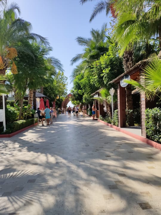 Gartenanlage Hotel Delphin Imperial