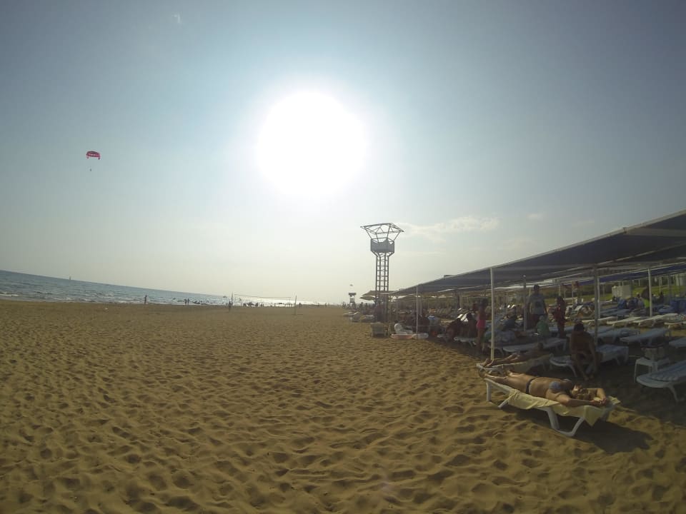 Super schöner Strand !!! Hotel Orfeus Park