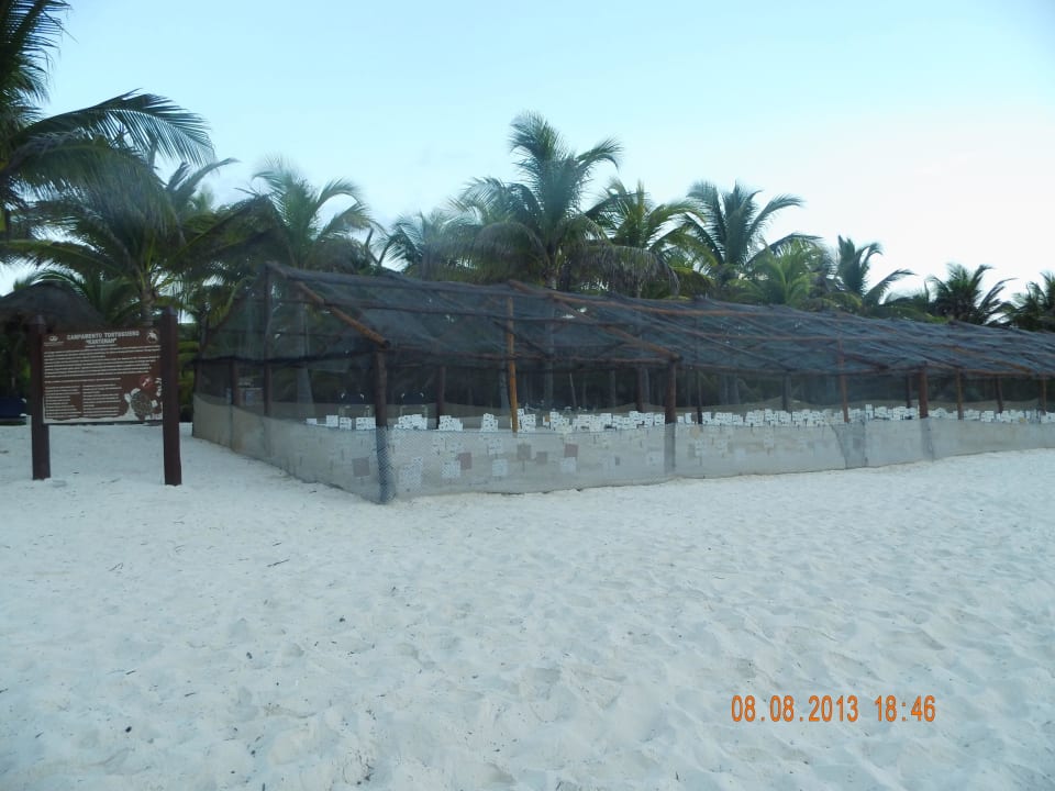 Schildkröten Schutz Gehege Grand Palladium Kantenah Resort & Spa