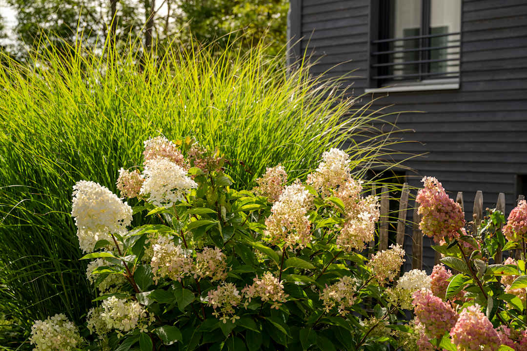 Gartenanlage Büchelbergerei - Chaletdorf Altmühlsee-Brombachsee