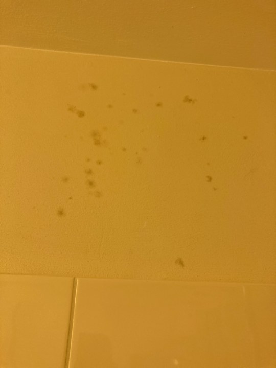 Zimmer Best Western Hotel Lippstadt