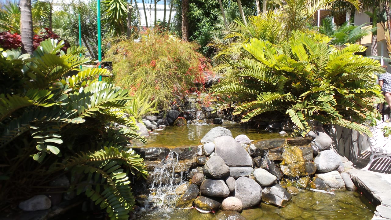 Garten allsun Hotel Lucana