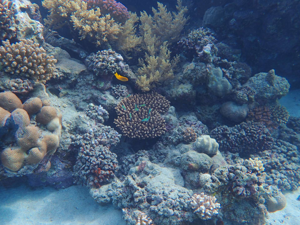 Sport & Freizeit Malikia Resort Abu Dabbab