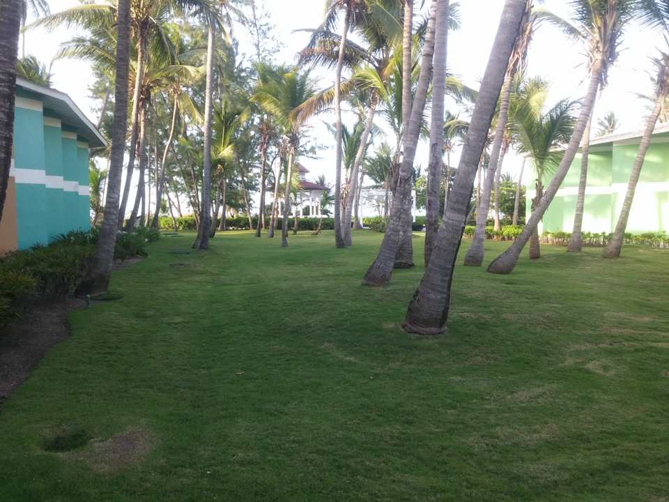 Gartenanlage Hotel Grand Palladium Palace Resort, Spa & Casino