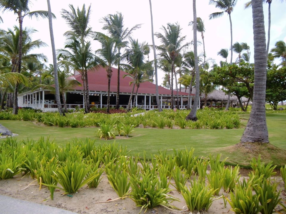 Hotel Grand Palladium Punta Cana Resort & Spa Grand Palladium Punta Cana Resort & Spa