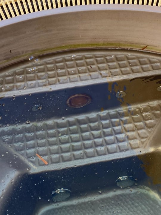 Zimmer Makadi Spa - Adults only