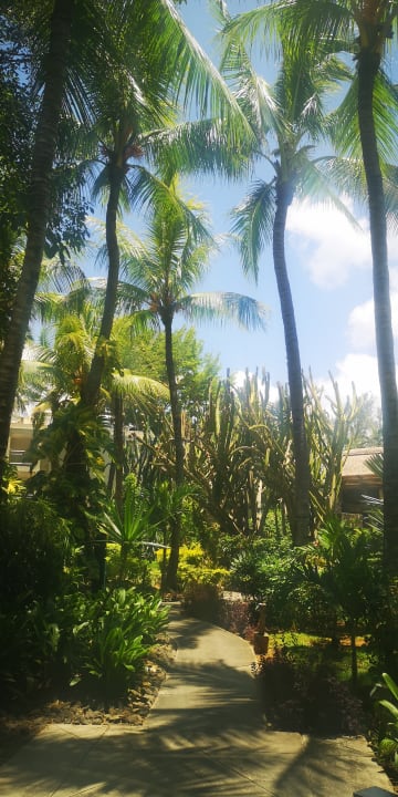 Gartenanlage Lagoon Attitude - Adults only