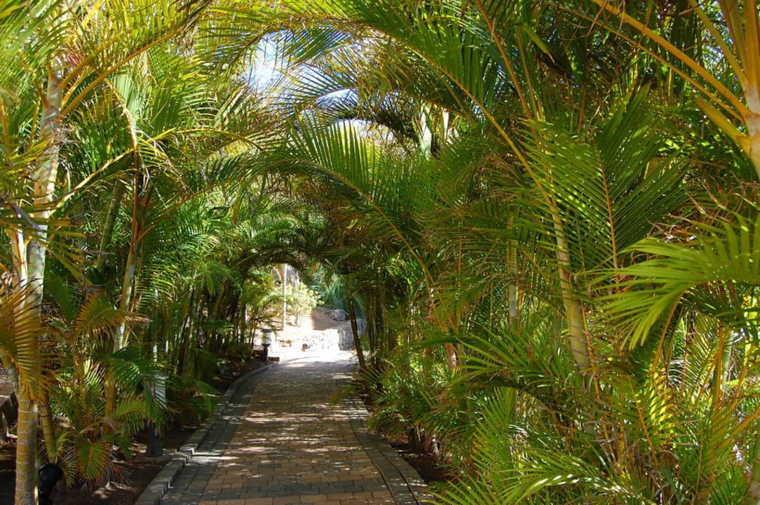Durchgang zu den Pools Lopesan Villa del Conde Resort & Thalasso